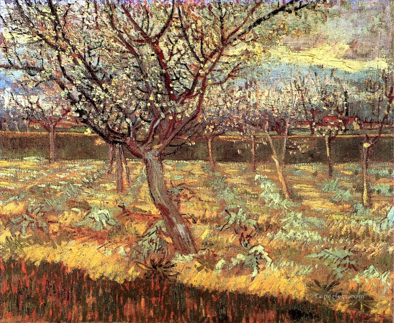 Apricot Trees in Blossom Vincent van Gogh Oil Paintings